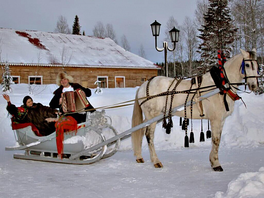 Конная прогулка в санях в Хабаровске. Подарочные сертификаты Ultra Подарки. Купить оригинальный подарок или подарочный сертификат на Конная прогулка в санях в Хабаровске. Сервис UltraPodarki.ru 8-800-505-9530. Катание на лошадях, Прогулка на лошади, Прогулка на лошадях для двоих, Конная прогулка в санях, конный клуб, Конный клуб, конная прогулка, конная прогулка в Хабаровске
