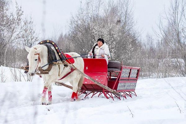 Конная прогулка в санях в Хабаровске. Подарочные сертификаты Ultra Подарки. Купить оригинальный подарок или подарочный сертификат на Конная прогулка в санях в Хабаровске. Сервис UltraPodarki.ru 8-800-505-9530. Катание на лошадях, Прогулка на лошади, Прогулка на лошадях для двоих, Конная прогулка в санях, конный клуб, Конный клуб, конная прогулка, конная прогулка в Хабаровске
