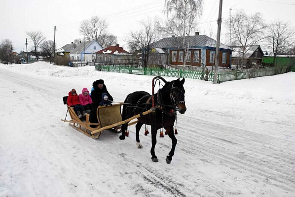 Конная прогулка в санях в Хабаровске. Подарочные сертификаты Ultra Подарки. Купить оригинальный подарок или подарочный сертификат на Конная прогулка в санях в Хабаровске. Сервис UltraPodarki.ru 8-800-505-9530. Катание на лошадях, Прогулка на лошади, Прогулка на лошадях для двоих, Конная прогулка в санях, конный клуб, Конный клуб, конная прогулка, конная прогулка в Хабаровске