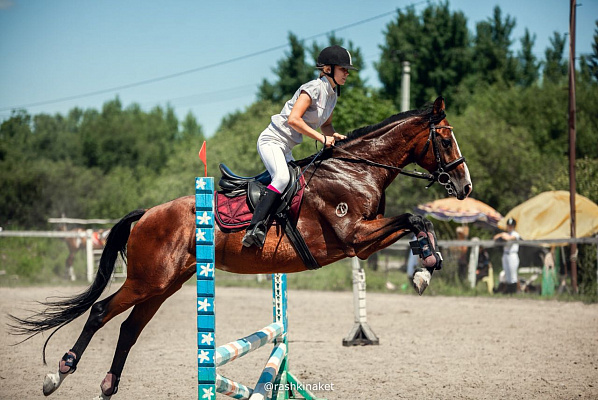 Конная прогулка в Хабаровске. Подарочные сертификаты Ultra Подарки. Купить оригинальный подарок или подарочный сертификат на Конная прогулка в Хабаровске. Сервис UltraPodarki.ru 8-800-505-9530. Катание на лошадях, Прогулка на лошади, Прогулка на лошадях для двоих, Конная прогулка, конный клуб, Конный клуб, конная прогулка, конная прогулка в Хабаровске