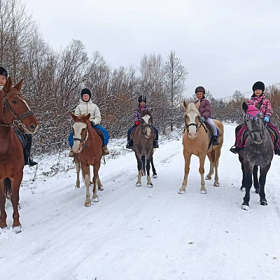 Конная прогулка в Хабаровске. Подарочные сертификаты Ultra Подарки. Купить оригинальный подарок или подарочный сертификат на Конная прогулка в Хабаровске. Сервис UltraPodarki.ru 8-800-505-9530. Катание на лошадях, Прогулка на лошади, Прогулка на лошадях для двоих, Конная прогулка, конный клуб, Конный клуб, конная прогулка, конная прогулка в Хабаровске
