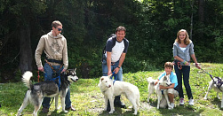 Катание на хаски