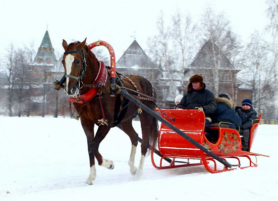 Конная прогулка в санях в Хабаровске. Подарочные сертификаты Ultra Подарки. Купить оригинальный подарок или подарочный сертификат на Конная прогулка в санях в Хабаровске. Сервис UltraPodarki.ru 8-800-505-9530. Катание на лошадях, Прогулка на лошади, Прогулка на лошадях для двоих, Конная прогулка в санях, конный клуб, Конный клуб, конная прогулка, конная прогулка в Хабаровске
