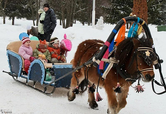 Конная прогулка в санях в Хабаровске. Подарочные сертификаты Ultra Подарки. Купить оригинальный подарок или подарочный сертификат на Конная прогулка в санях в Хабаровске. Сервис UltraPodarki.ru 8-800-505-9530. Катание на лошадях, Прогулка на лошади, Прогулка на лошадях для двоих, Конная прогулка в санях, конный клуб, Конный клуб, конная прогулка, конная прогулка в Хабаровске
