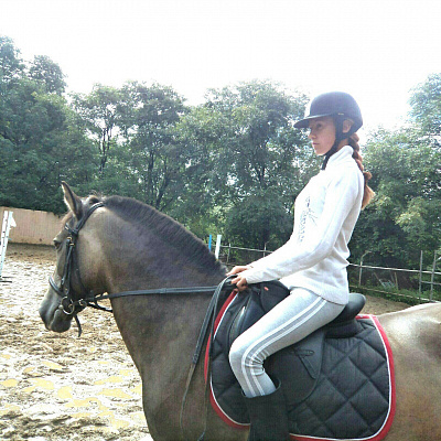 Конная прогулка в Хабаровске. Подарочные сертификаты Ultra Подарки. Купить оригинальный подарок или подарочный сертификат на Конная прогулка в Хабаровске. Сервис UltraPodarki.ru 8-800-505-9530. Катание на лошадях, Прогулка на лошади, Прогулка на лошадях для двоих, Конная прогулка, конный клуб, Конный клуб, конная прогулка, конная прогулка в Хабаровске