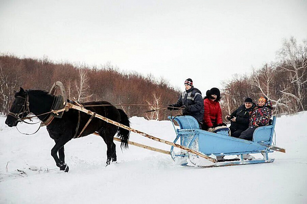 Конная прогулка в санях в Хабаровске. Подарочные сертификаты Ultra Подарки. Купить оригинальный подарок или подарочный сертификат на Конная прогулка в санях в Хабаровске. Сервис UltraPodarki.ru 8-800-505-9530. Катание на лошадях, Прогулка на лошади, Прогулка на лошадях для двоих, Конная прогулка в санях, конный клуб, Конный клуб, конная прогулка, конная прогулка в Хабаровске