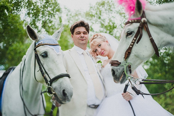 Конная прогулка в Хабаровске. Подарочные сертификаты Ultra Подарки. Купить оригинальный подарок или подарочный сертификат на Конная прогулка в Хабаровске. Сервис UltraPodarki.ru 8-800-505-9530. Катание на лошадях, Прогулка на лошади, Прогулка на лошадях для двоих, Конная прогулка, конный клуб, Конный клуб, конная прогулка, конная прогулка в Хабаровске