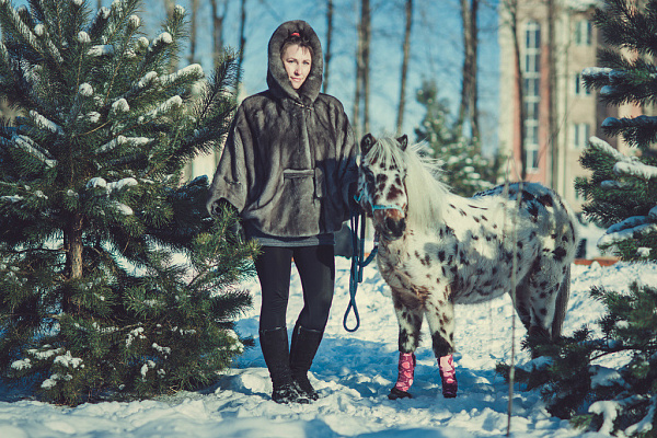 Конная прогулка в Хабаровске. Подарочные сертификаты Ultra Подарки. Купить оригинальный подарок или подарочный сертификат на Конная прогулка в Хабаровске. Сервис UltraPodarki.ru 8-800-505-9530. Катание на лошадях, Прогулка на лошади, Прогулка на лошадях для двоих, Конная прогулка, конный клуб, Конный клуб, конная прогулка, конная прогулка в Хабаровске